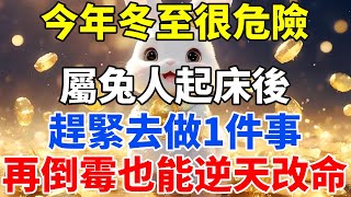 今年冬至很危險！屬兔人起床後，趕緊去做1件事！再倒霉也能逆天改命！【佛語禪音】#生肖 #命理 #運勢 #屬相 #風水