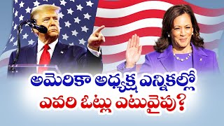 అమెరికా ఎన్నికల్లో ఎవరి ఓట్లు ఎటువైపు? | Asian American Voters Play Key Role In Presidential Polls