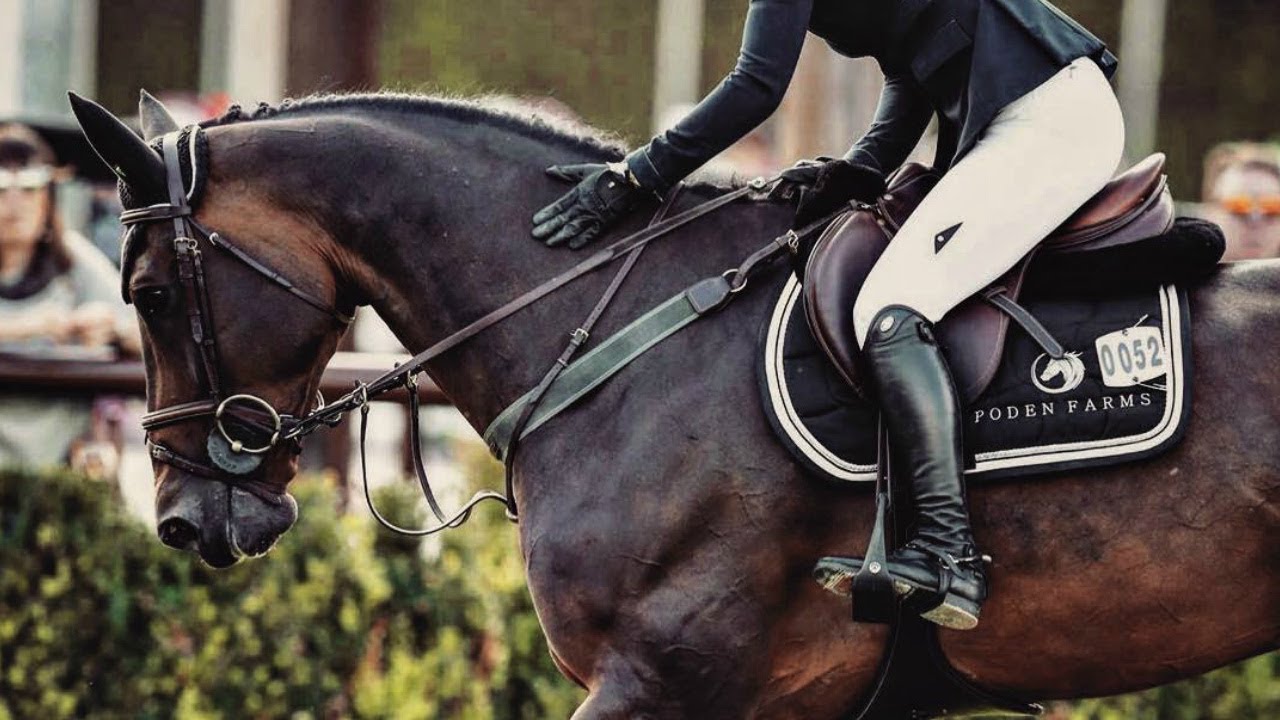 Hall Of Fame Equine Edit Youtube Music