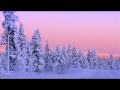 Tosca - Mrs. Bongo [No Hassle]