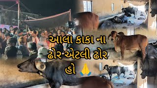 આલા કાકા ની ભિહુ ઈ તા મારા મગજ ની નસ ફાળે નાખી 😡🤬🤬