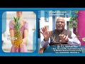 benefits of eating pine apple పైనాపిల్ తినడం వల్ల ఎలాంటి ఉపయోగాలు ఉంటాయి. dr cl venkata rao tips