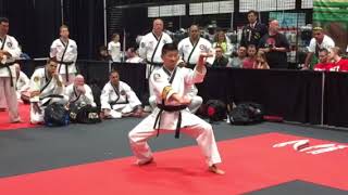 Terence Lee ATA 4th degree Black Belt Form - Sok Bong