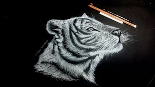 tigre - lapiz blanco pitt pastel - como hacer pelo de animal
