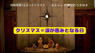 カトリック神父のつぶやき「クリスマス＝涙が恵みになる日」 2023年12月24日 待降節第4主日＋クリスマス