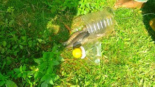 Fish trap bottle easy for big fish fishing videos | part 24 |
