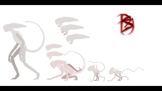 Predator Predator