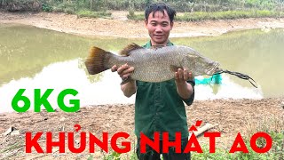 MẺ LƯỚI GẦN 5 TẠ CÁ-TỰ THỢ RỪNG