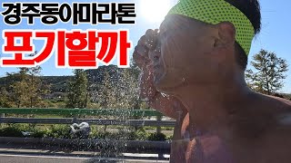 [경주동아마라톤 1부] 풀코스 시합에서 갖는 포기의 유혹... 나도 ㅠㅠ