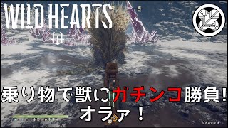 乗り物で獣にガチンコ勝負 TakemaruのWILDHEARTS #23