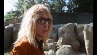 Spinal Tap in Zoo - ape discussion