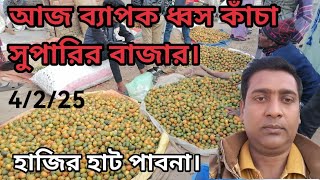 4 February 2025 আজকের সুপারির বাজার দর। Nut price. গ্রামের হাট বাজার।সুপারির ব্যবসা আইডিয়া।