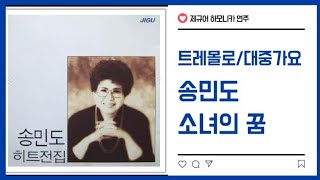 [제규어 하모니카 연주] 송민도-소녀의 꿈(원곡 박신자)