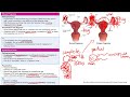 Pregnancy Pathology | Reproductive system | Step 1 Simplified