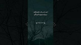 Sad Lines Status 🥀 Urdu Poetry Status 🥀 Urdu/Hindi Shayri 🖤 Deep lines #shorts #shayari #shayri