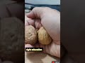 अखरोट तोड़ने का सही तरीका।the right way to crack walnuts.