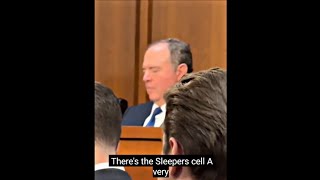 Senator Adam Schiff falls asleep LIVE at Pam Bondi hearing - LEAKED VIDEO