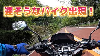 PCX160で「走り屋のメッカ」奥多摩周遊道路を走ってみました(^^♪