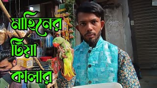 মাহিনের অসাধারণ টিয়া সহ অনেক পাখি দেখে যান  || রঙবেরঙের পাখি #birds #parrot #birdslover