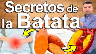 La Menospreciada Batata! - Secretos Del Camote - Para Qué Sirve Y Sus Contraindicaciones