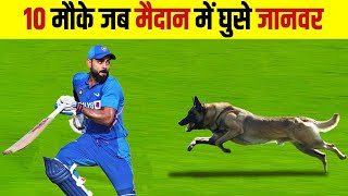 10 मौके जब मैदान में जानवर घुस आए 😲| TOP 10 Animal Moments In Cricket Ground