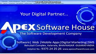 APEX GST BILLING SOFTWARE