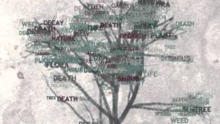 AS3 Generative Art : Typographic Tree