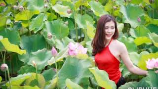Tuyệt phẩm bolero, vì tiền em trả hết ân tình