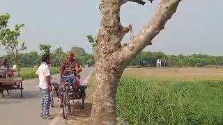 india border .at mujibnagar