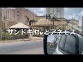 お久しぶり　智子のグアムびより🇬🇺