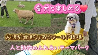 【愛犬と楽しめる】人と自然と動物のふれあいテーマパーク！BBQもできてオススメ！