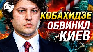 Если кто и должен пересматривать грузино-украинские отношения, так это Киев – Кобахидзе