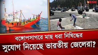 বঙ্গোপসাগরে মাছ ধরা নিষিদ্ধের সুযোগ নিয়েছে ভারতীয় জেলেরা? | Pirojpur Fish News | Desh TV