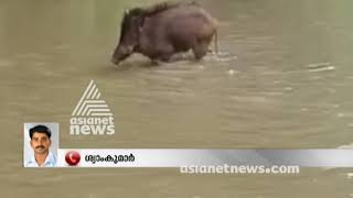 Flood in Pampa Triveni : പമ്പയില്‍ വെള്ളപ്പൊക്കം തീര്‍ഥാടകര്‍ കുടുങ്ങി