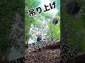 植木屋の出荷プロの掘り方 shorts