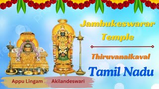 Jambukeswarar Temple | Thiruvanaikaval | Tamil Nadu | Bhakti Bhav