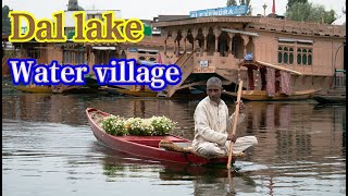 India,Kashmir,Srinagar,Dal lake,Water village #travel #india