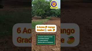 6 Acres🥭 mango graden sale || chikbalapur district