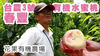 花果有機農場 春豐水蜜桃禮盒 甜滋滋開箱｜【原味的感動】