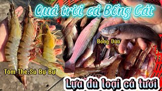 Xổ Đục Buổi Sáng Sớm Đầu Con Nước. Quá trời cá Bóng Cát. Cá Ngác Đĩa,Bóng Dừa,cá Đối,cá Mú….