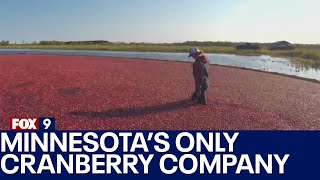 Minnesota Cranberry Company: A family business