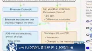 프린스턴 리뷰, 아시안은 2배 지불