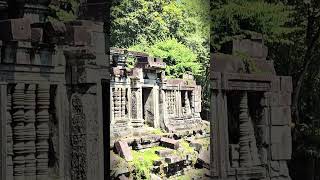 Beng Mealea Temple was build in the 12th Century. #travel #ancienttemple #ancient #angkortravel