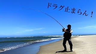 砂浜で怪物に竿をへし曲げられる！【仙台サーフ】