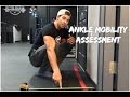 How to test Ankle Mobility (dorsiflexion assessment)