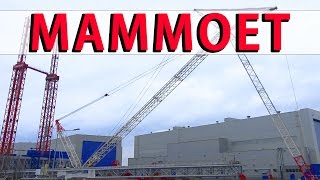 Mammoet Largest Crane 1,800 Ton ST³ Offshore Szczecin #4