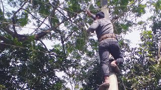 Line worker work in a pole