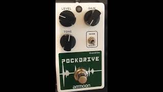 Ammoon Pockdrive Review