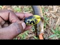 ഈ ഫ്രോഗുണ്ടേൽ വരാൽ പറന്നടിക്കും 🥰 cmx handmade frog lure varal fishing kerala cherumeen fishing