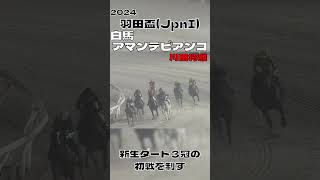 白馬 アマンテビアンコ 新生ダート３冠初戦の羽田盃を制す 2024#shorts